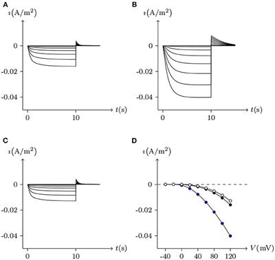 Analysis of Hemichannels and Gap Junctions: Application and Extension of the Passive Transmembrane Ion Transport Model